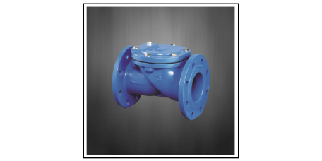 TEK Check Valve